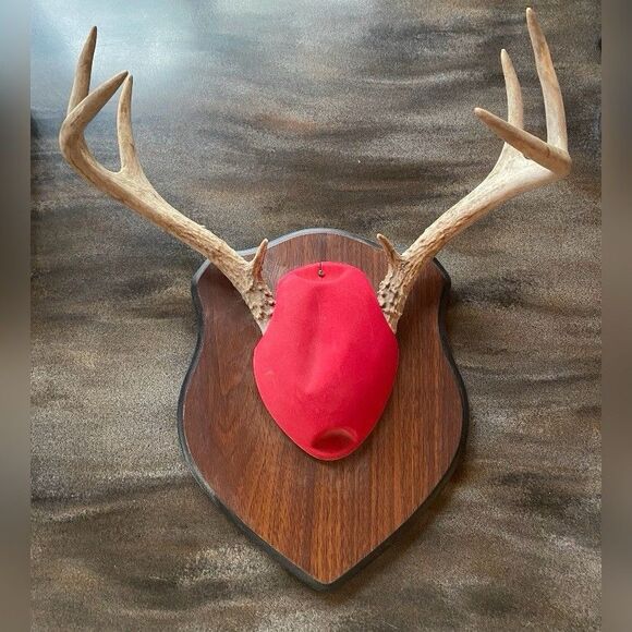 Vintage 8 Point Antlers White Tail Plaque Man Cave - Picture 1 of 5